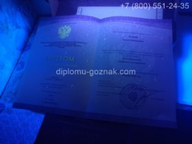Диплом маркетолога ВУЗа 2018 года, титульный лист под УФ лампой